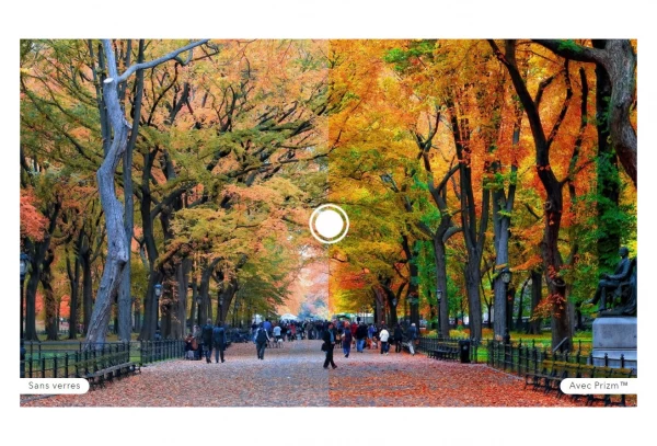 Oakley Sutro TLD Red Gold Shift / Prizm Ruby / Ref. OO9406-4837 4 Oakley Sutro TLD Red Gold Shift / Prizm Ruby / Ref. OO9406-4837 - Afbeelding 4