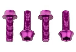Wolf-tooth Set Van 4 Wolf Tooth Water Bottle Cage Bolts M5x15 Mm Purple