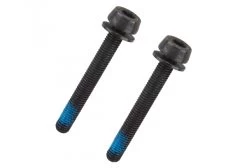 Campagnolo® Campagnolo H11 39mm Caliper Bolt